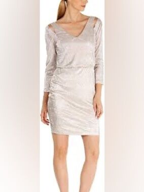 Calvin Klein Champagne sheath Dress